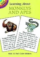 Book Cover for Learning About Monkeys and Apes by Sy Barlowe