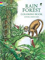 Book Cover for Rain Forest Coloring Book by Annika Bernhard