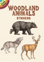 Book Cover for Woodland Animals Stickers by Dianne Gaspas