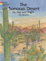 Book Cover for Sonoran Desert by Day and Night by Dot Barlowe