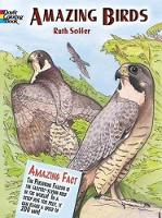 Book Cover for Amazing Birds by Ruth Soffer