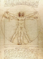 Book Cover for Vitruvian Man Notebook by Leonardo Da Vinci