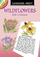 Book Cover for Learning About Wildflowers by Dot Barlowe