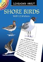 Book Cover for Learning About Shorebirds by Sy Barlowe