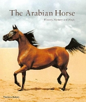Book Cover for The Arabian Horse by Hossein Amirsadeghi