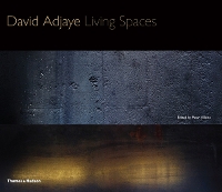 Book Cover for David Adjaye by Peter Allison