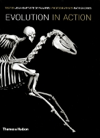 Book Cover for Evolution in Action by 