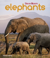 Book Cover for Elephants by Steve Bloom