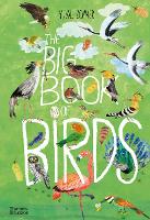 Book Cover for The Big Book of Birds by Yuval Zommer