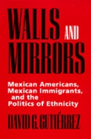 Book Cover for Walls and Mirrors by David G Gutierrez