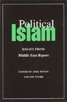 Book Cover for Political Islam by Joel Beinin