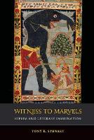 Book Cover for Witness to Marvels by Tony K. Stewart