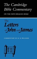 Book Cover for Letters of John and James by Raymond Brady Williams