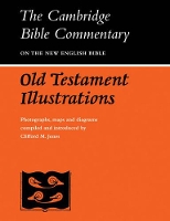 Book Cover for Old Testament Illustrations by Clifford M Jones