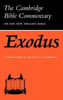 Book Cover for Exodus by Ronald E Clements