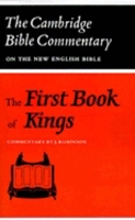 Book Cover for The First Book of Kings by J Robinson