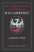 Book Cover for Aaron's Rod by D H Lawrence