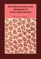 Book Cover for The Ultrastructure and Phylogeny of Insect Spermatozoa by Barrie G. M. Jamieson