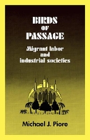 Book Cover for Birds of Passage by Michael J Piore