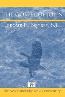 Book Cover for The Gospel of John by Jerome H University of Notre Dame, Indiana Neyrey
