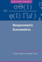Book Cover for Nonparametric Econometrics by Adrian Australian National University, Canberra Pagan, Aman University of California, Riverside Ullah