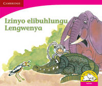 Book Cover for Izinyo Elibuhlungu Lengwenya (IsiZulu) by Fundisile Gwazube, Lulu Khumalo, Linda Pantsi, Nompuleleo Yako