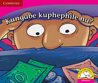 Book Cover for Kungabe Kuphephile Na? (IsiNdebele) by Reviva Schermbrucker