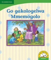 Book Cover for Go gakologelwa Mmemogolo (Setswana) by Dianne Stewart