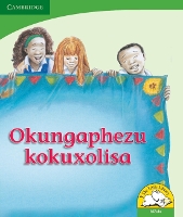 Book Cover for Okungaphezu kokuxolisa (IsiZulu) by Reviva Schermbrucker