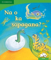 Book Cover for Na o ka sopagana? (Sepedi) by Kerry Saadien-Raad