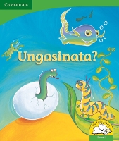 Book Cover for Ungasinata? (Siswati) by Kerry Saadien-Raad