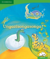 Book Cover for Ungazisongasonga? (IsiNdebele) by Kerry Saadien-Raad