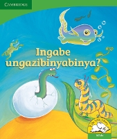 Book Cover for Ingabe ungazibinyabinya? (IsiZulu) by Kerry SaadienRaad