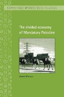 Book Cover for The Divided Economy of Mandatory Palestine by Jacob Hebrew University of Jerusalem Metzer