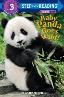 Book Cover for Baby Panda Goes Wild! by David Salomon