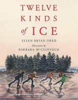 Book Cover for Twelve Kinds of Ice by Ellen Bryan Obed