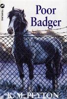 Book Cover for Poor Badger by K M Peyton