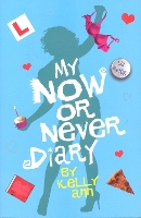 Book Cover for My Now or Never Diary by Liz Rettig