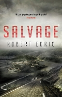 Book Cover for Salvage by Robert Edric