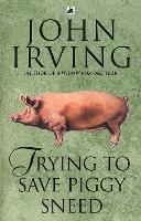 Book Cover for Trying To Save Piggy Sneed by John Irving