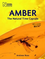 Book Cover for Amber by Andrew Ross