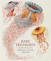 Book Cover for Rare Treasures by Judith Magee