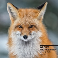 Book Cover for Wildlife Photographer of the Year Pocket Diary 2020 by Natural History Museum
