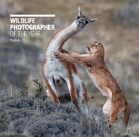 Book Cover for Wildlife Photographer of the Year: Portfolio 29 by Rosamund Kidman Cox