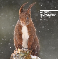 Book Cover for Wildlife Photographer of the Year Pocket Diary 2022 by Natural History Museum