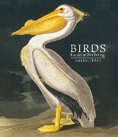 Book Cover for Birds by Jonathan Elphick