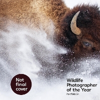 Book Cover for Wildlife Photographer of the Year: Portfolio 34 by Natural History Museum