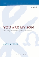 Book Cover for You Are My Son by Associate Professor Amy L. B.  (Wheaton College, USA) Peeler