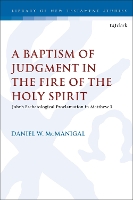 Book Cover for A Baptism of Judgment in the Fire of the Holy Spirit by Rev. Dr. Daniel W. (Hope Presbyterian Church, USA) McManigal