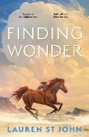 Book Cover for Finding Wonder by Lauren St. John